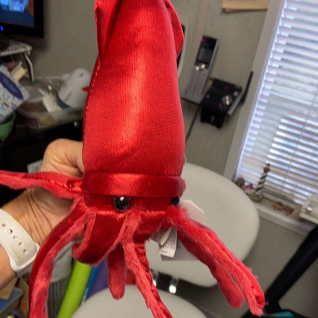 Titanium squid , sea turtle, stingrays and leopard shark - St